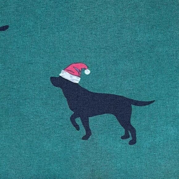 Eddie Bauer Black Lab Shower Curtain Hunter Green Multi Winter Dog 72” x 72” NWT - Picture 4 of 5